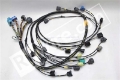 Picture of Rywire Honda S2000 AP1-AP2 Early Mil-Spec Engine Harness w-OEM Coils-Injector-ECU Plugs