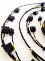 Picture of Rywire Honda S2000 AP1-AP2 Early Mil-Spec Engine Harness w-OEM Coils-Injector-ECU Plugs