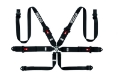 Picture of Sparco BELT 6 PNT 3 to 2in HANS STEEL