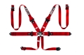 Picture of Sparco BELT 6 PNT 3in PD HANS ALUM