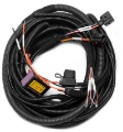 Picture of Wilwood Electronic Parking Brake Caliper Harness Wiring