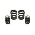 Picture of Industrial Injection Dodge 5-9L Cummins 12V 5000 Governor Spring Kit