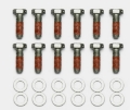 Picture of Wilwood Bolt Kit - 5-16-18 x 1-00 LG - 12 pk
