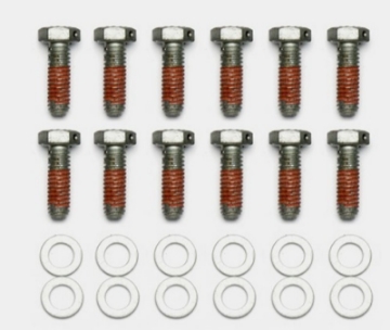 Picture of Wilwood Bolt Kit - 5-16-18 x 1-00 LG - 12 pk