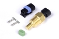 Picture of Haltech Coolant Temp Sensor 3-8 NPT 18 TPI Incl Delphi Plug & Pins
