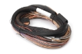 Picture of Haltech IO 12 Expander Box 8ft Flying Lead Harness A-B Box