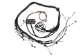 Picture of Haltech Elite 2000-2500 Terminated Engine Harness
