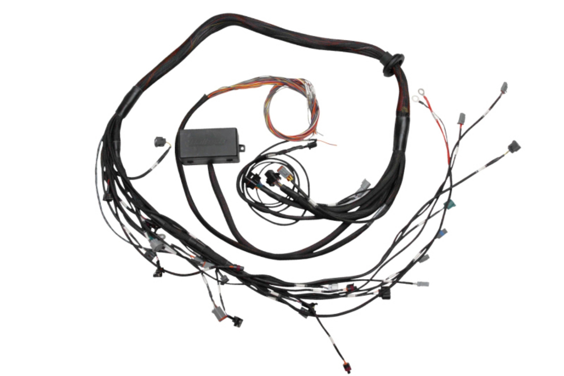 Picture of Haltech Elite 2000-2500 Terminated Engine Harness
