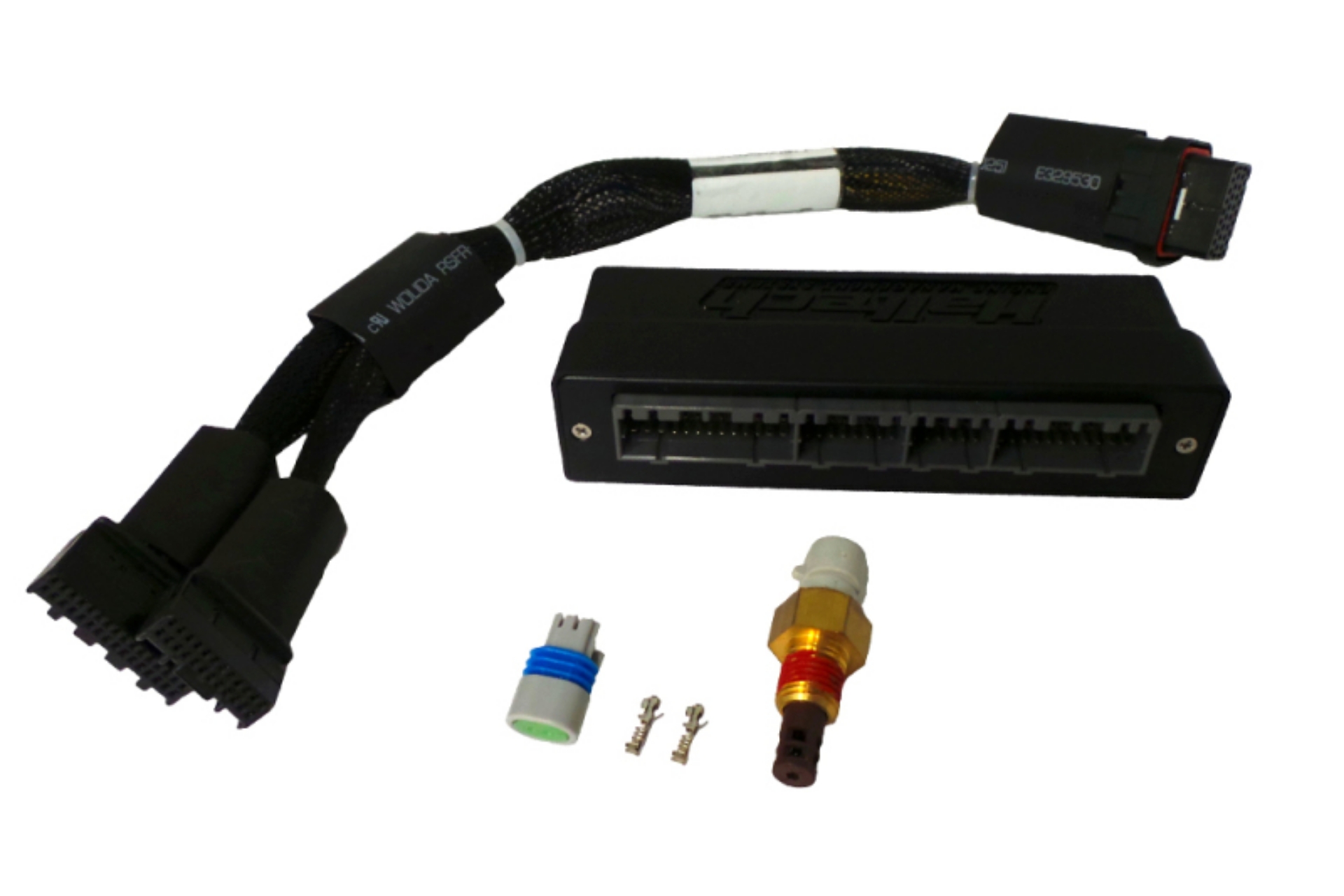 Picture of Haltech Elite 750 Plug-n-Play Adaptor Harness
