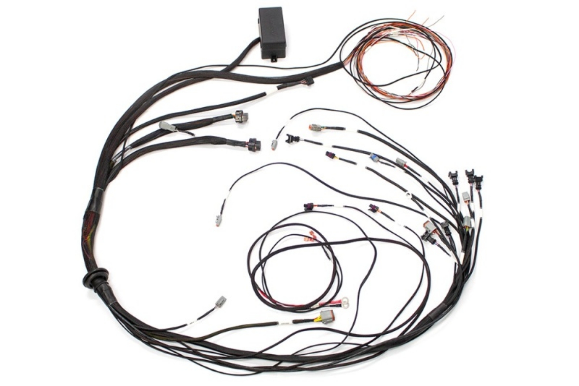 Picture of Haltech Elite 1000 Terminated Harness