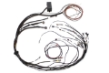 Picture of Haltech Elite 1000 Terminated Harness
