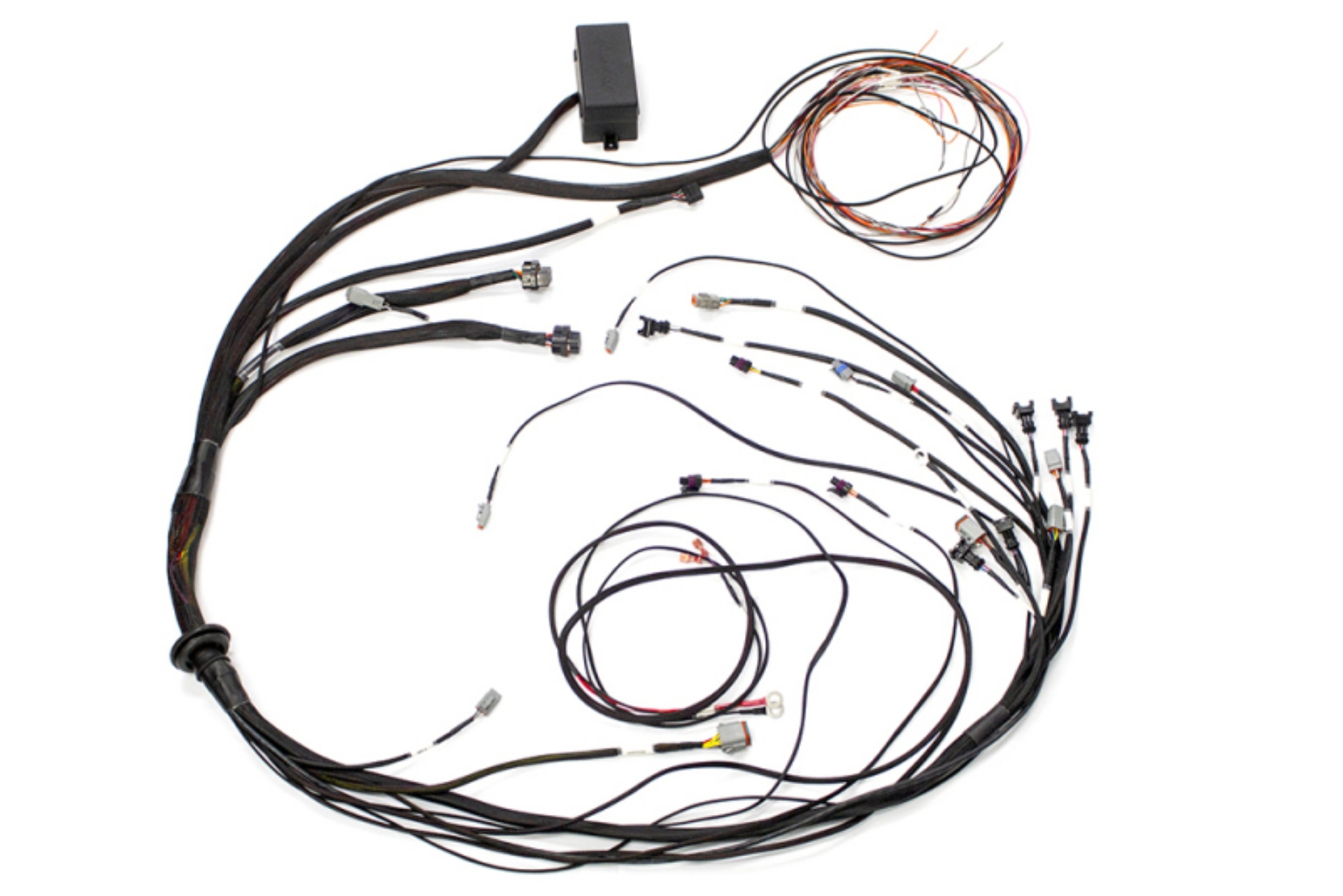 Picture of Haltech Elite 1000 Terminated Harness
