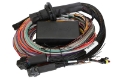 Picture of Haltech Elite 1500 Premium Universal Wire-In Harness - 2-5m 8ft