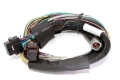 Picture of Haltech Elite 2500 Basic Universal Wire-In Harness w-o Relays or Fuses - 2-5m 8ft