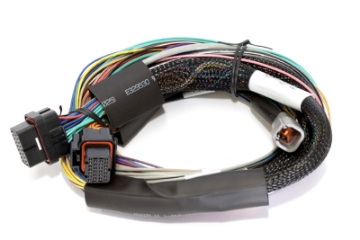 Picture of Haltech Elite 2500 Basic Universal Wire-In Harness w-o Relays or Fuses - 2-5m 8ft
