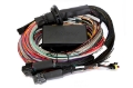 Picture of Haltech Elite 2500-2500 T Premium Universal Wire-In Harness - 2-5m 8ft