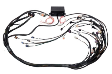 Picture of Haltech GM GEN III LS1 & LS6 Non DBW Elite 2000-2500 Terminated Harness w-EV1 Injector Connectors