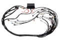 Picture of Haltech GM GEN IV LS2-LS3 Non DBW Elite 2000-2500 Terminated Harness w-EV1 Inj Connectors