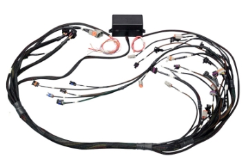 Picture of Haltech GM GEN IV LS2-LS3 Non DBW Elite 2000-2500 Terminated Harness w-EV1 Inj Connectors
