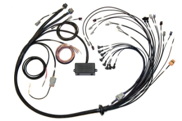 Picture of Haltech Elite 2000-2500 Terminated Harness w-EV1 Inj Connectors