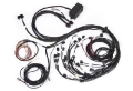 Picture of Haltech Elite 2500 Terminated Harness w-EV1 Injector Connectors