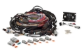 Picture of Haltech Elite 2500 & REM 16 Sequential Injector Integrated 8ft Universal Wire-In Harness