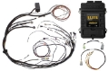Picture of Haltech Elite 1500 Terminated Harness ECU Kit w- Square EV1 Injector Connectors