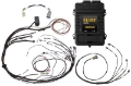 Picture of Haltech Elite 1500 Terminated Harness ECU Kit w- Square EV1 Injector Connectors