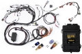 Picture of Haltech Elite 2500 Terminated Engine Harness ECU Kit w-Early Ignition