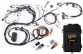 Picture of Haltech Elite 2500 Terminated Engine Harness ECU Kit w-Late Ignition