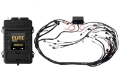 Picture of Haltech Elite 2500 Terminated Harness ECU Kit w-EV1 Injector Connectors