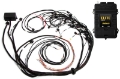 Picture of Haltech Elite 2500 Terminated Harness ECU Kit w-OE Injector Connectors
