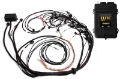 Picture of Haltech Elite 2500 Terminated Harness ECU Kit w-EV1 Injector Connectors