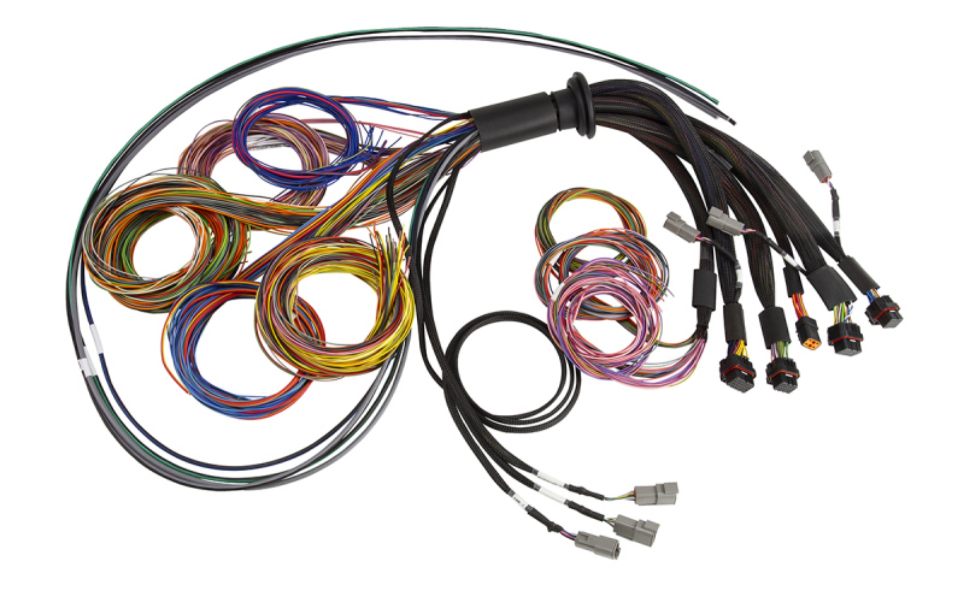 Picture of Haltech NEXUS R5 Universal Wire-In Harness - 2-5M 8ft