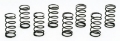 Picture of Moroso Valve Checking Springs