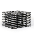 Picture of Skunk2 Alpha Series Honda D Series VTEC Valve Spring Set