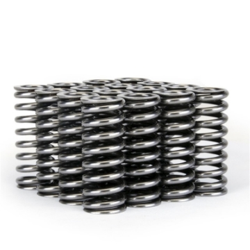 Picture of Skunk2 Alpha Series Honda D Series VTEC Valve Spring Set