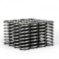 Picture of Skunk2 Alpha Series Honda D Series VTEC Valve Spring Set