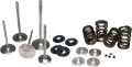 Picture of Ferrea 09-13 Audi 2-0L TFSI Single Spring Kit