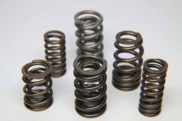 Picture of Ferrea Toyota 4AGELU 20V Single Valve Spring - Single Drop Ship Only