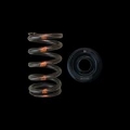 Picture of Brian Crower Mazda MZR Valve Spring & Retainer - Steel Retainers