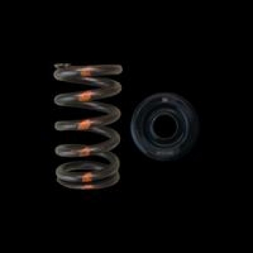 Picture of Brian Crower Mazda MZR Valve Spring & Retainer - Steel Retainers