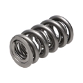 Picture of Manley 16pc NexTek Drag Race-Oval Track & Endurance Valve Springs