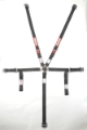 Picture of RaceQuip Black JR- CAMLOCK 5pt Seat Belt