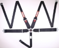 Picture of RaceQuip Black SFI CAMLOCK 5pt PD Lap HNR Seat Belt