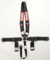 Picture of RaceQuip Black SFI CAMLOCK 5pt Dragster inUin Belt