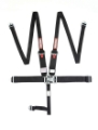 Picture of RaceQuip Black L & L 5pt HNR Seat Belt