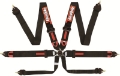 Picture of RaceQuip Black FIA CAMLOCK 6pt Pull Down Lap