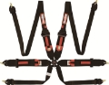 Picture of RaceQuip Black FIA CAMLOCK 6pt Pull Up Lap FHR