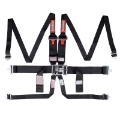 Picture of RaceQuip Black L & L 6pt HNR Seat Belt